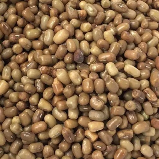 Organic Madike Gram/ Moth Bean